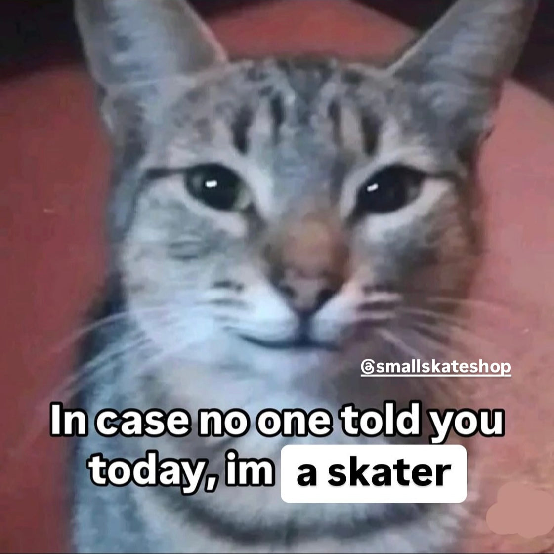 Small Meme Pack #3